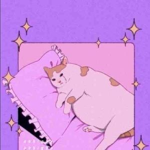 Meet your Posher, Ce